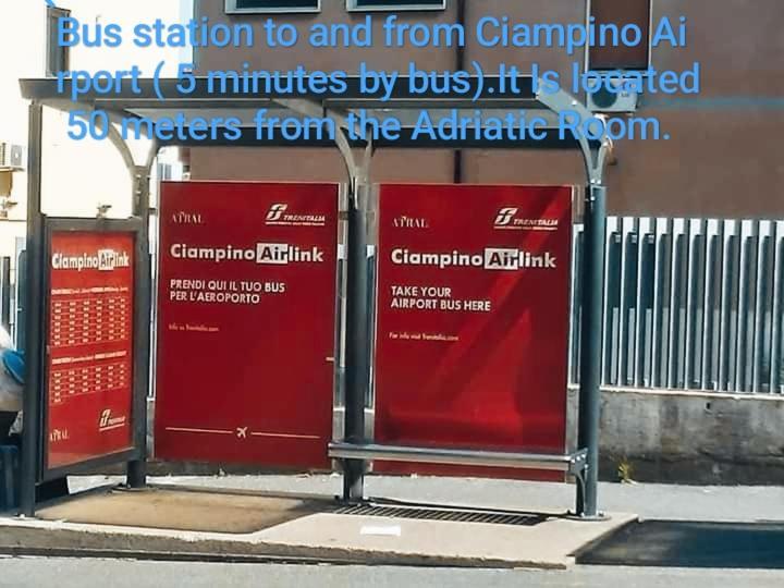 Adriatic Room 50 M Dalla Stazione Ferroviaria Di Ciampino E Dalla Navetta Aeroportuale Exteriör bild